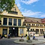 Otok Lindau na obali Bodenskega jezera poNemciji6