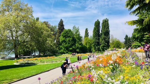 Otok Mainau otok roz metuljev in neokrnjene narave13