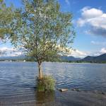 Skok v Kimsko jezero Chiemsee1