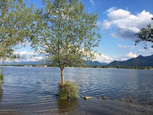 Skok v Kimsko jezero Chiemsee1