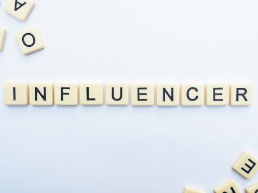 Zakaj v Sloveniji se nobena fakulteta ni razpisala programa 22influensarstvo22