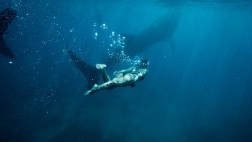 Alenka Artnik je s potopom 111 metrov globoko postavila nov svetovni rekord