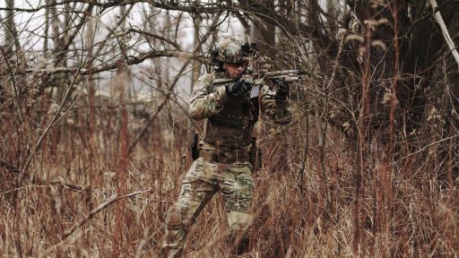 Vaske straze v Sloveniji zakaj Borut Pahor in za to pristojni ministri dovolijo njihovo prisotnost