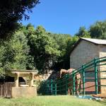 Brioni 24 ur v nacionalnem parku Brioni safari parku pri Kokiju in voznja z elektricnim avtom po otoku10