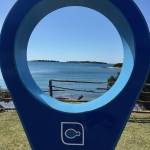 Brioni 24 ur v nacionalnem parku Brioni safari parku pri Kokiju in voznja z elektricnim avtom po otoku11