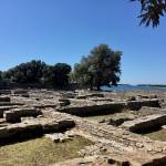 Brioni 24 ur v nacionalnem parku Brioni safari parku pri Kokiju in voznja z elektricnim avtom po otoku12