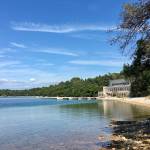 Brioni 24 ur v nacionalnem parku Brioni safari parku pri Kokiju in voznja z elektricnim avtom po otoku13