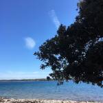 Brioni 24 ur v nacionalnem parku Brioni safari parku pri Kokiju in voznja z elektricnim avtom po otoku2