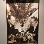 Brioni 24 ur v nacionalnem parku Brioni safari parku pri Kokiju in voznja z elektricnim avtom po otoku4