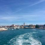 Brioni 24 ur v nacionalnem parku Brioni safari parku pri Kokiju in voznja z elektricnim avtom po otoku7