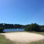 Brioni 24 ur v nacionalnem parku Brioni safari parku pri Kokiju in voznja z elektricnim avtom po otoku8