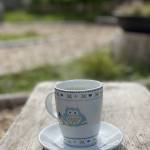 Na Pokljuko po jurcke ocitno nisem rojen gobar3