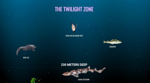 Kaj se skriva v morskih globinah