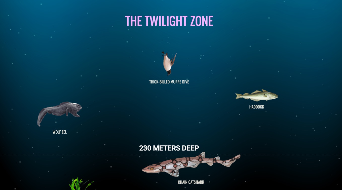 Kaj se skriva v morskih globinah
