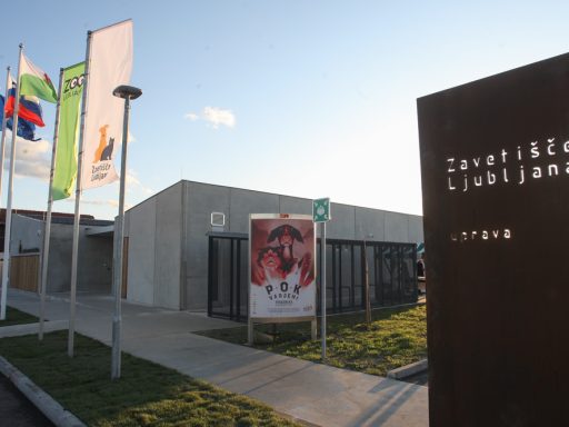 Novo Zavetisce za zapuscene zivali Ljubljana1