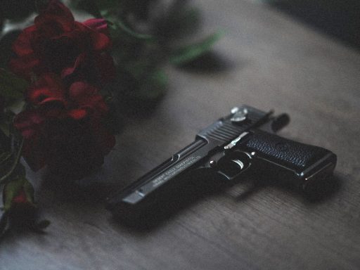 Ustrelil noseco zensko in si sodil sam komentarji pod clanki povedo veliko o Slovencih