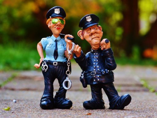 Bi morali biti poslanci in njihovi druzinski člani nedotakljivi za policijo
