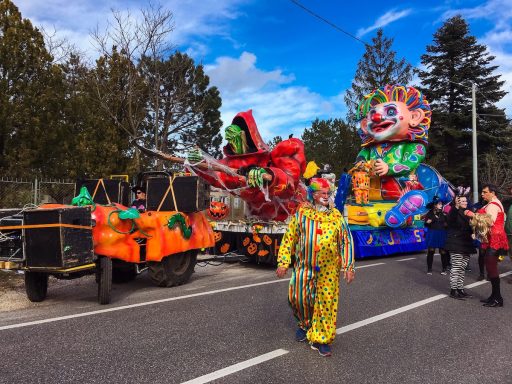 Kraski pust pust na Opcinah1