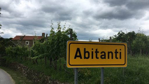 Abitanti obisk kmetije Grondali na tartufe na Belvedur1