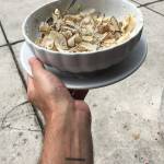 Abitanti obisk kmetije Grondali na tartufe na Belvedur10