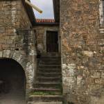 Abitanti obisk kmetije Grondali na tartufe na Belvedur3