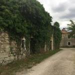 Abitanti obisk kmetije Grondali na tartufe na Belvedur4