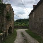 Abitanti obisk kmetije Grondali na tartufe na Belvedur6