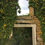 Abitanti obisk kmetije Grondali na tartufe na Belvedur9