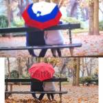 proslava shutterstock 3