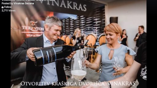 Aleksandra Pivec Vinakras