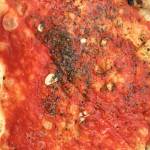 Najboljsa pizza na svetu L’Antica Pizzeria da Michele Neapelj had testira pizze ocena 5011