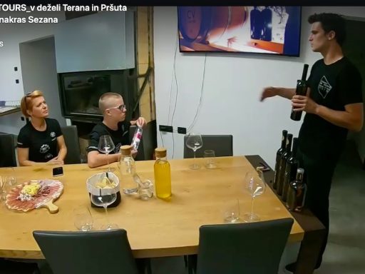 Otroci politikov in mediji primer Aleksandre Pivec in njenih dveh sinov