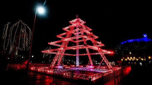 midelamodogodke smreka fotoMiroMajcen 00003