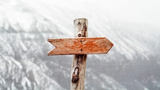 parler gab janez jansa ziga turk