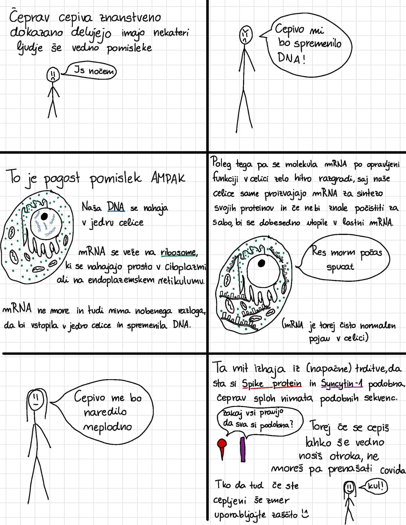 172276916 483367509755070 7232419897268527699 n