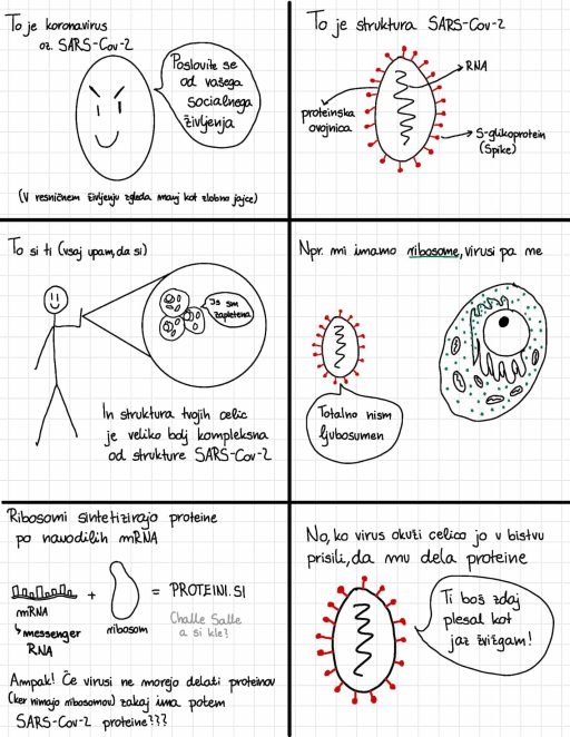 172580449 483367483088406 3900842158677721610 n