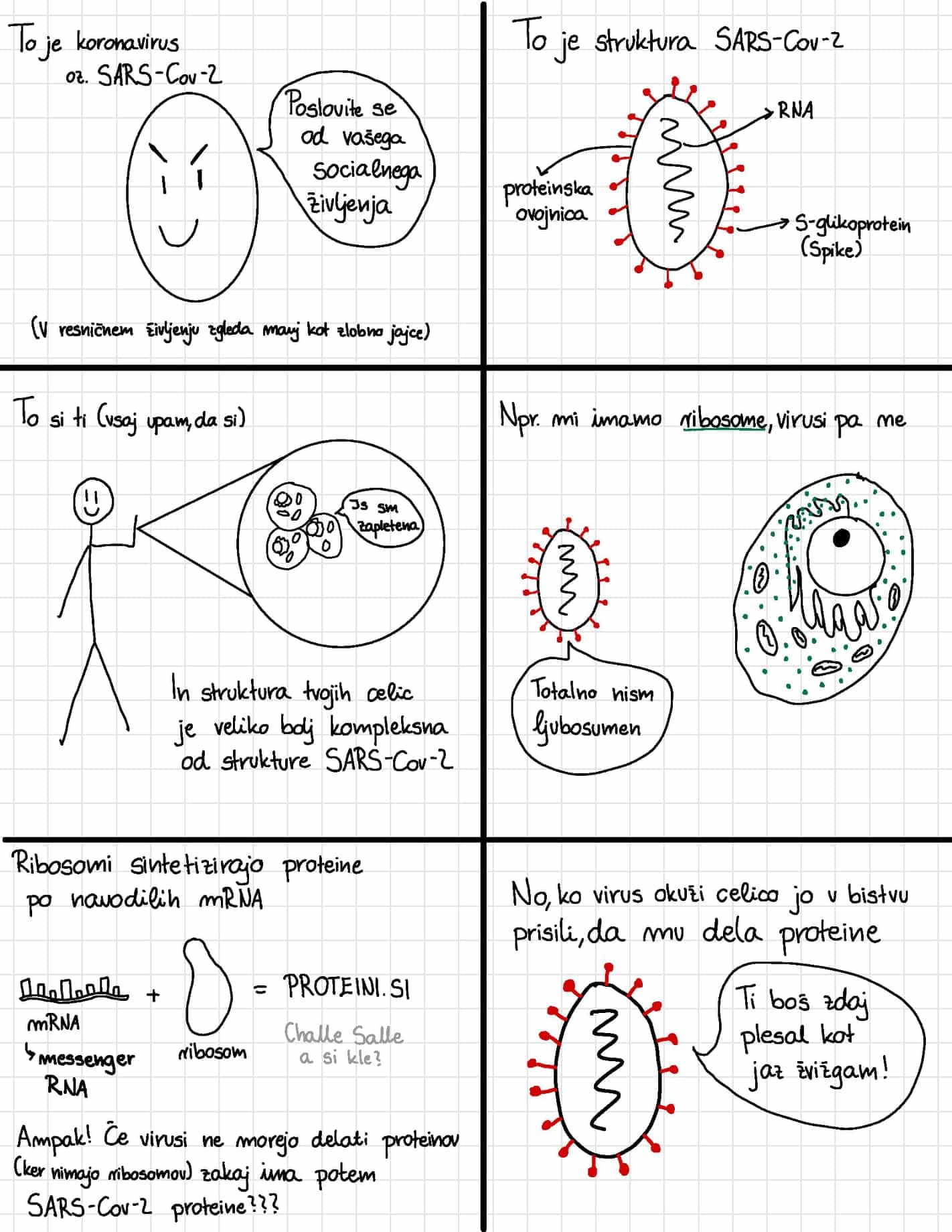 172580449 483367483088406 3900842158677721610 n