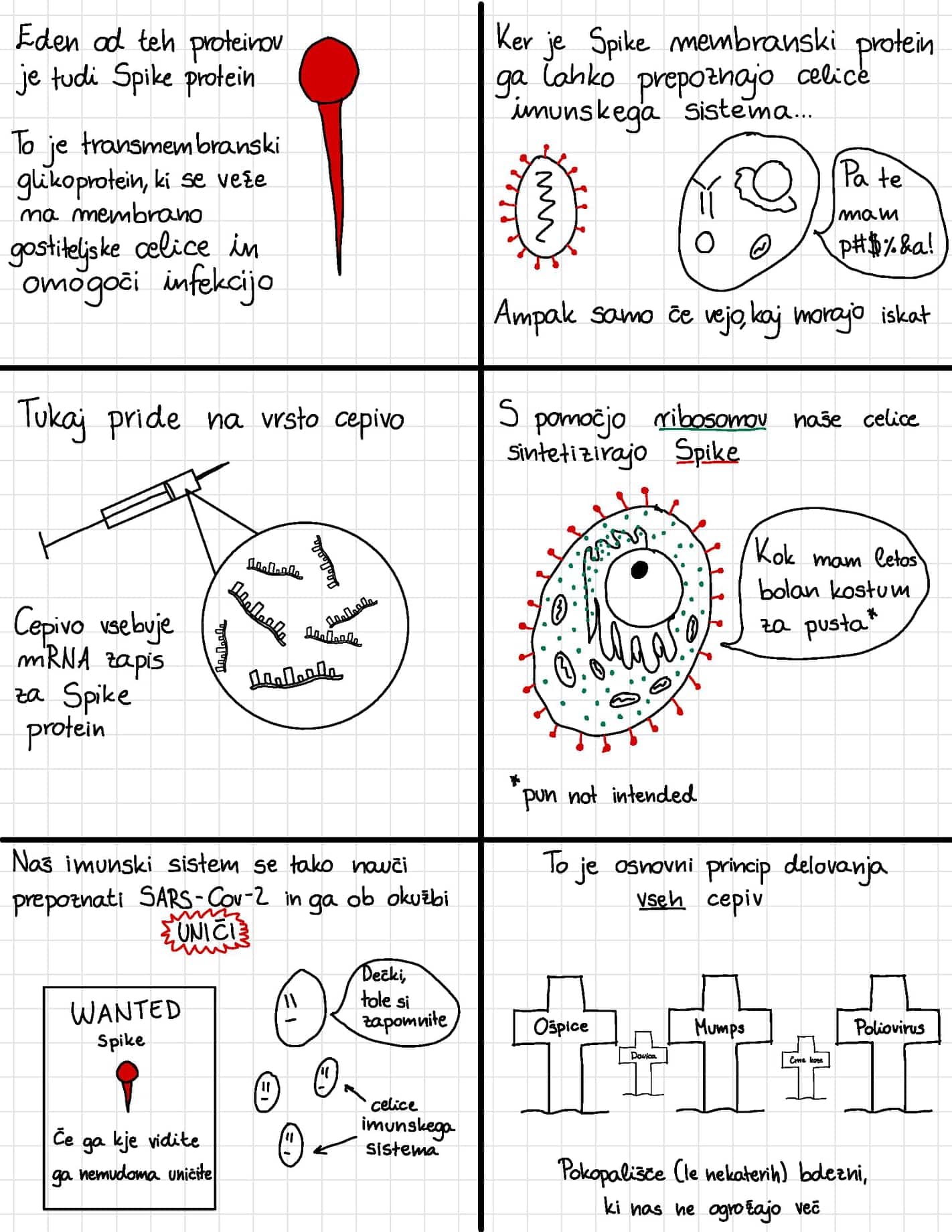 173042721 483367476421740 5018531355200221697 n