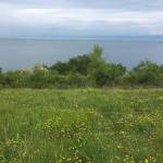 Forgotten Garden Villa Portoroz prvomajske pocitnice v Portorozu 14