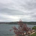 Forgotten Garden Villa Portoroz prvomajske pocitnice v Portorozu 20