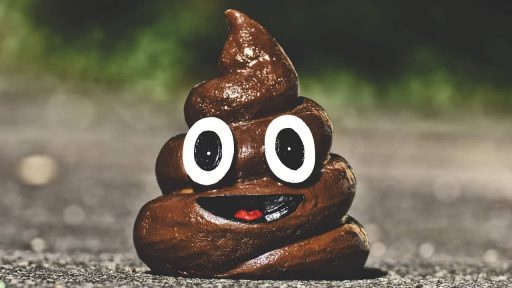 poop minister vizjak mafija