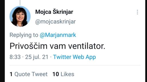 mojca skrinjar