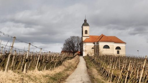 cerkev in cerkveni davek