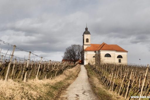 cerkev in cerkveni davek