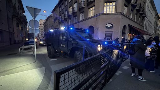 shod za mir ljubljana 3