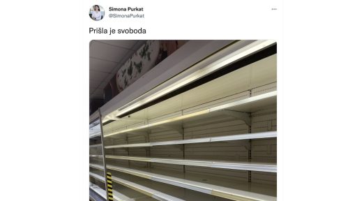 simona purkat sds svoboda