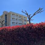 vila restavracija rova malinska krk 6