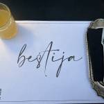 Bistro Bestija Ljubljana 2