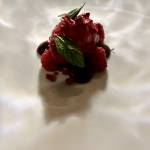 Restavracija Pavus Marko Pavcnik 1