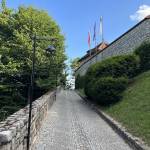 Restavracija Pavus Marko Pavcnik 2